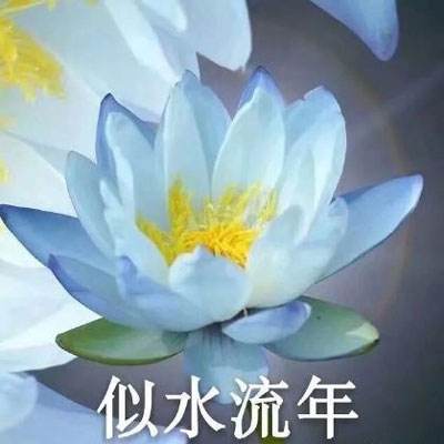 醉天下手游九游版下载