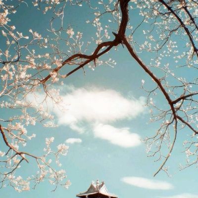 放开那和尚手游下载